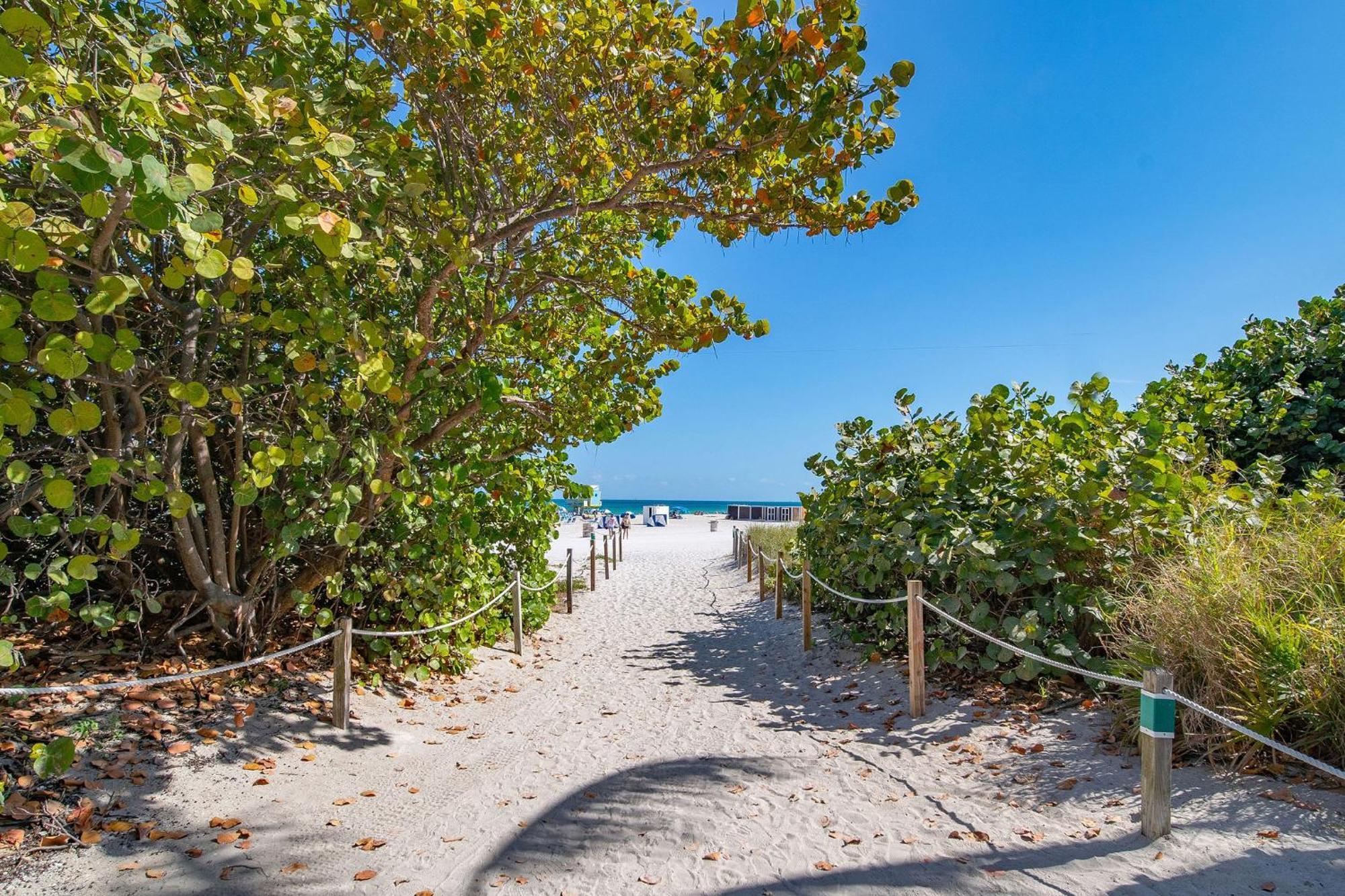 Charming Large Studio Near Ocean Dr - South Beach 마이애미 비치 외부 사진