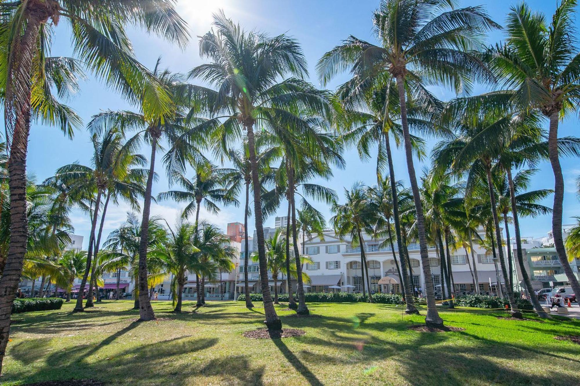 Charming Large Studio Near Ocean Dr - South Beach 마이애미 비치 외부 사진